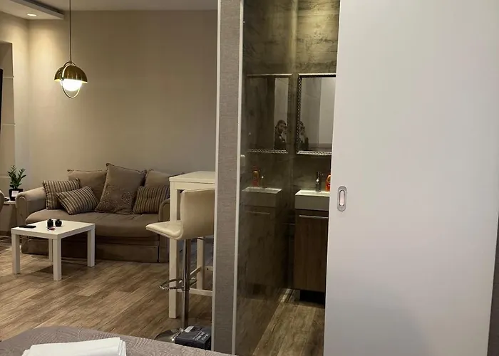Apartment In The Heart Of Belgrade, In The Center Belgrade